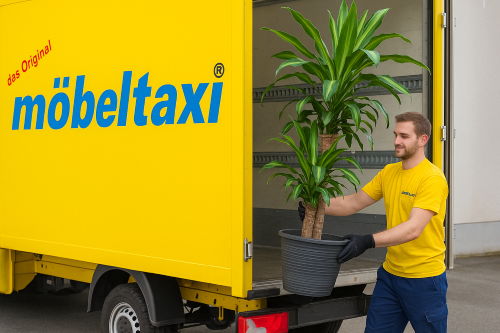 Umziehen mit Komplettservice in Duisburg